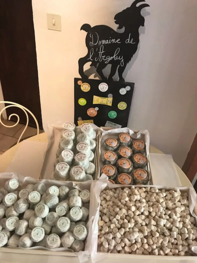 Chambre d'affinage, étagères chargées de nombreux fromages ronds