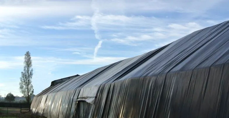 Hangar agricole sous un grand ciel bleu